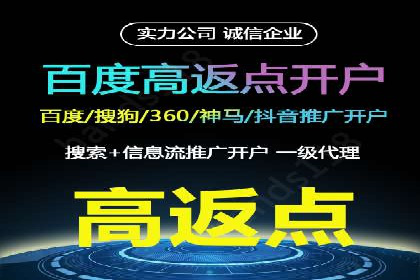 百度竞价排名服务：成功案例解析